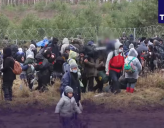Ватикан призвал ЕС взять ответственность за мигрантов на границе Беларуси