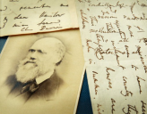Письмо Дарвина о неверии в Библию продано за 197 тыс долларов
