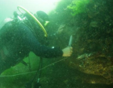 В акватории Стамбула под водой обнаружены руины монастыря