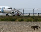 Спецслужбы задержали захватчика самолета EgyptAir
