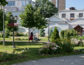 В Москве создадут тактильный сад для слепых и слабовидящих людей